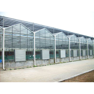 품질  Tomato Mushroom Growing with Commercial Hydroponic Systems Gothic Polycarbonate Cover Type Greenhouse 공장