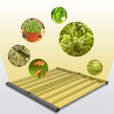 품질  Seed Seed Growing Full Spectrum 600W Indoor Plants Hydroponic Lamp Folding Greenhouse Lamp Dimmable 4x4 lm301h Led Grow Light 공장