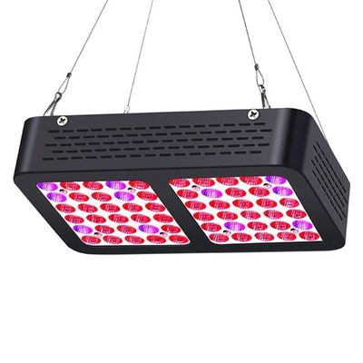Indoor Garden Green House Factory Price High Power Full Spectrum LED Grow Par Grow Light Reflector 600W For Medicinal Plants